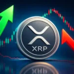 Ripple News: XRP Whale Wallets Hit Record High as ETF Holdings Climb to $1.44 Billion